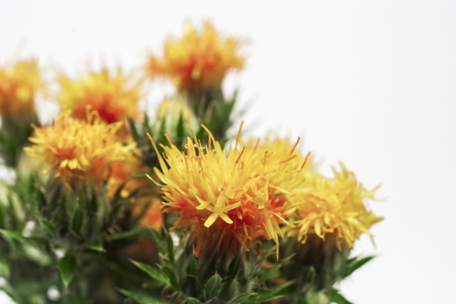 b1cd2f066ba9923a75376d1ce967a326_s